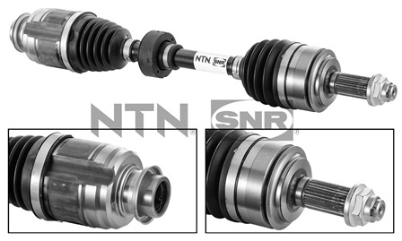 SNR DK74.007 Albero...