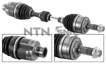 SNR DK74.008 Albero...