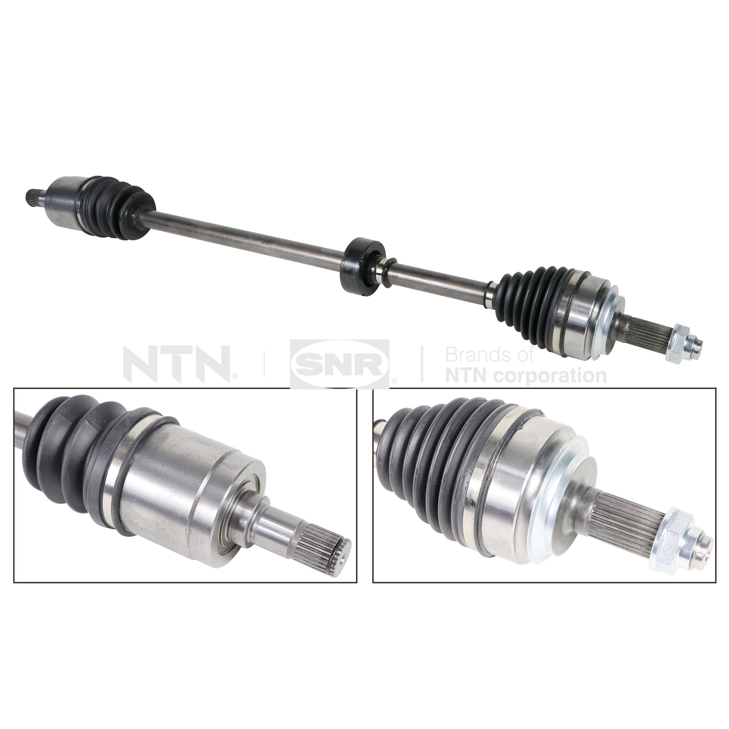 SNR DK74.011 Albero...