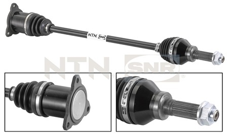 SNR DK77.001 Albero...