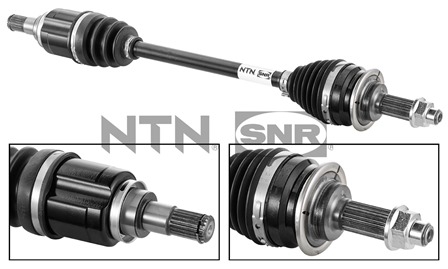 SNR DK77.004 Albero...