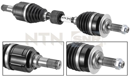 SNR DK77.007 Albero...