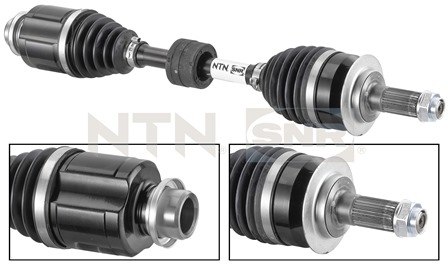 SNR DK77.008 Albero...