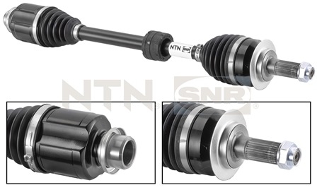 SNR DK77.009 Albero...