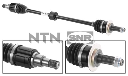 SNR DK77.010 Albero...