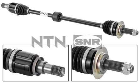 SNR DK77.012 Albero...