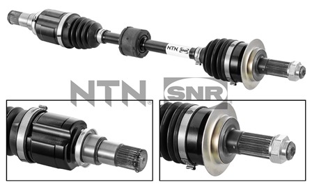 SNR DK77.013 Albero...