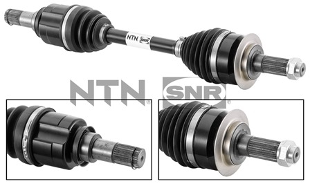 SNR DK77.021 Albero...