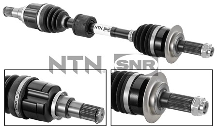 SNR DK77.022 Albero...