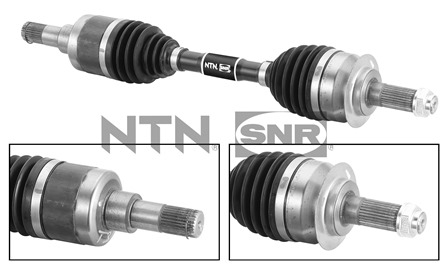 SNR DK77.023 Albero...