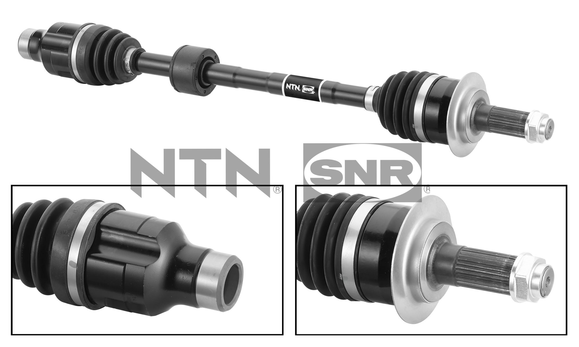 SNR DK77.024 Albero...