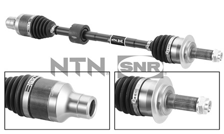 SNR DK77.025 Albero...
