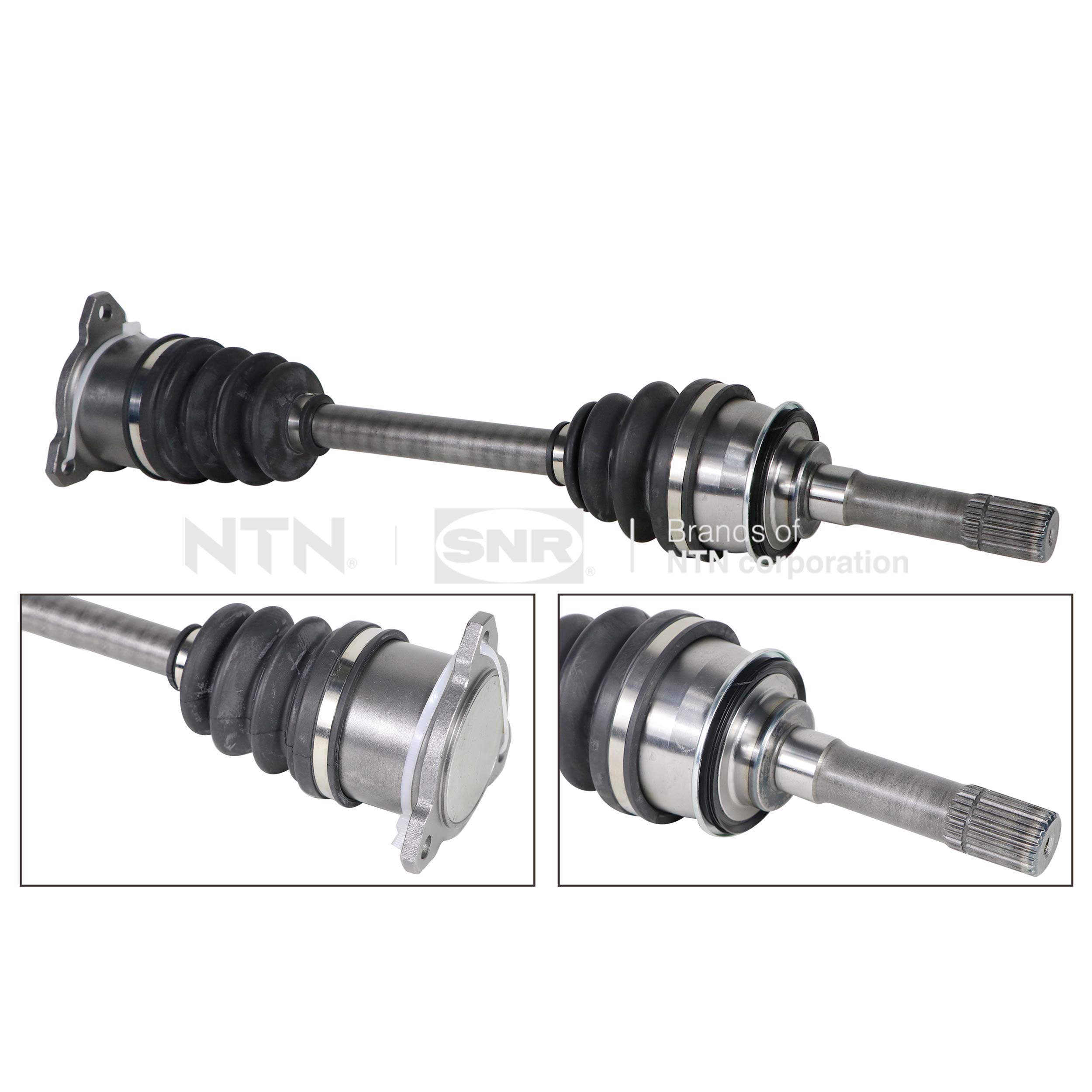 SNR DK77.031 Albero...