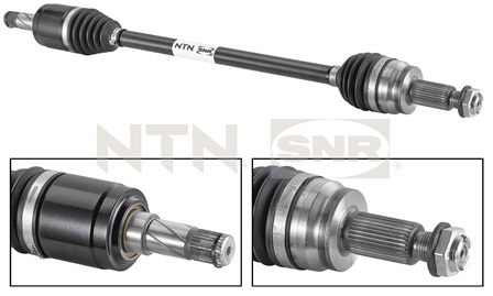 SNR DK80.001 Albero...