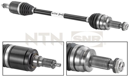 SNR DK80.002 Albero...