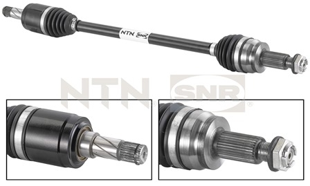 SNR DK80.003 Albero...