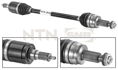 SNR DK80.004 Albero...