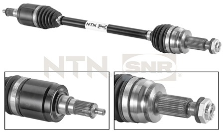 SNR DK80.005 Albero...