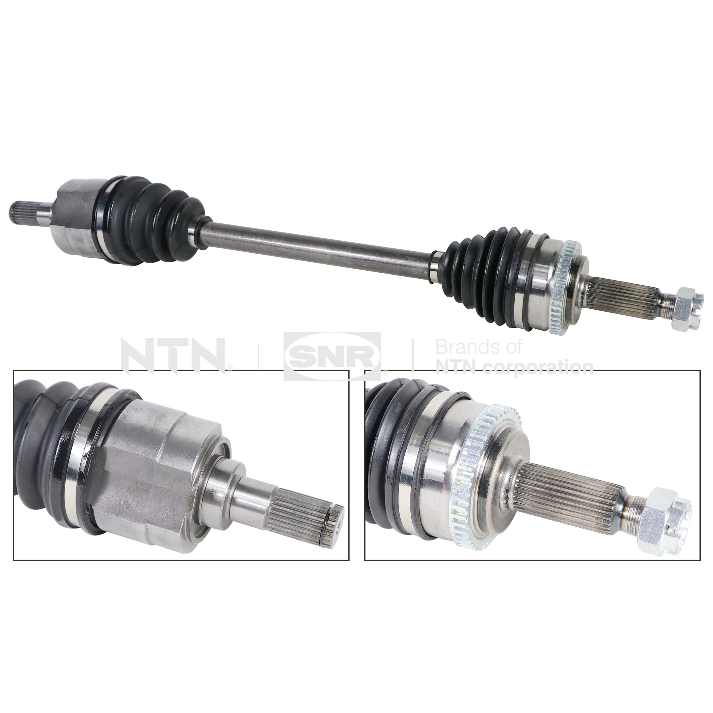 SNR DK84.003 Albero...