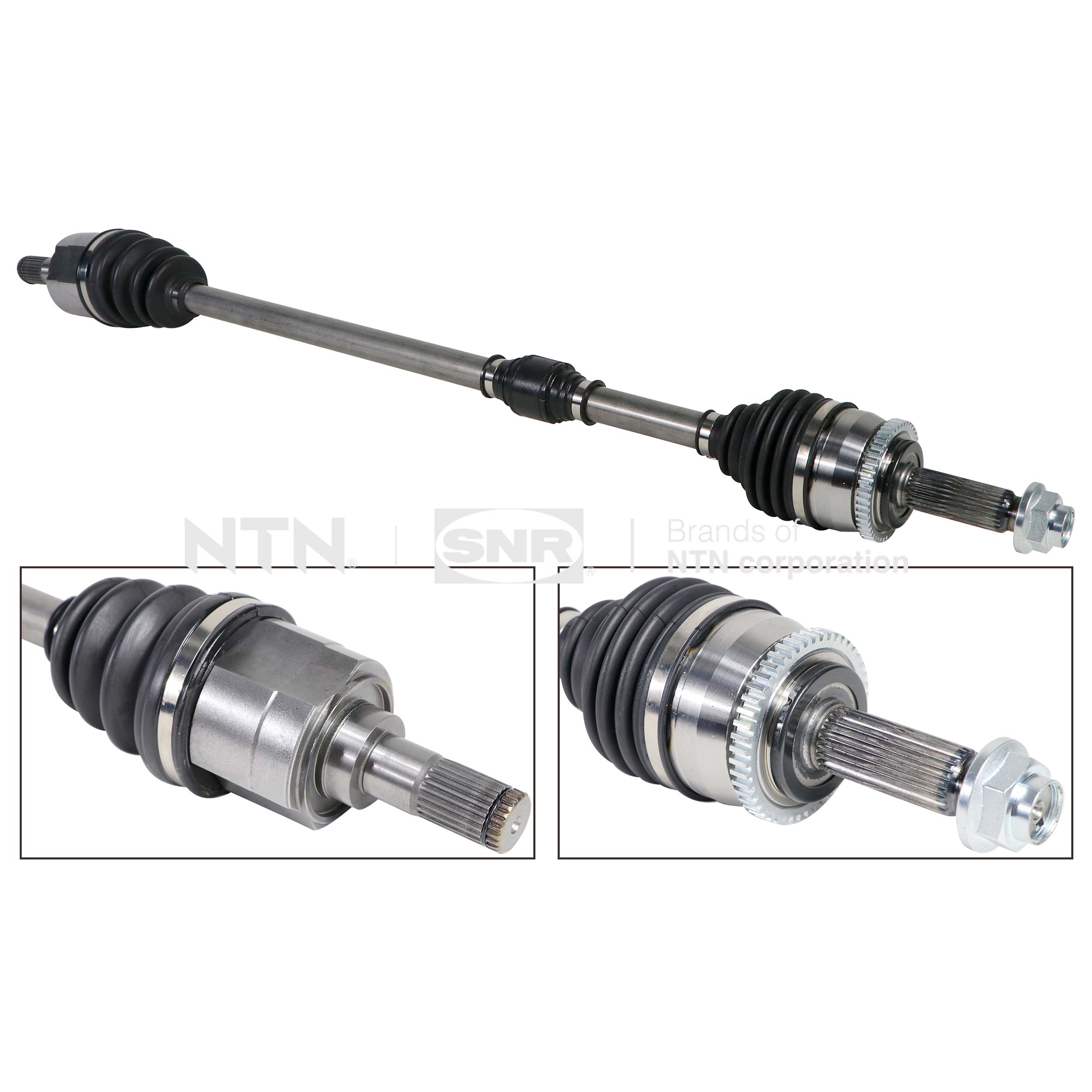 SNR DK84.004 Albero...