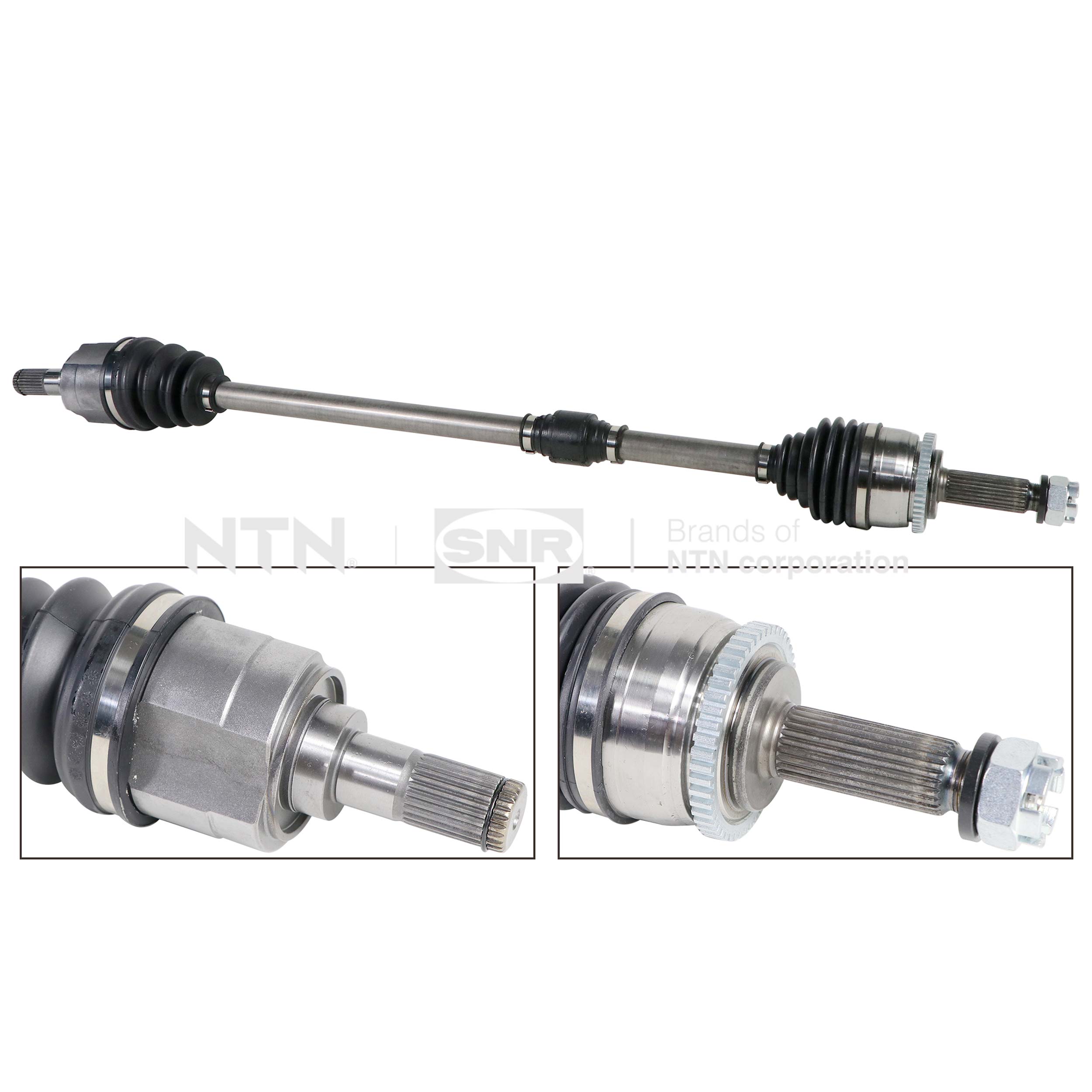 SNR DK84.005 Albero...