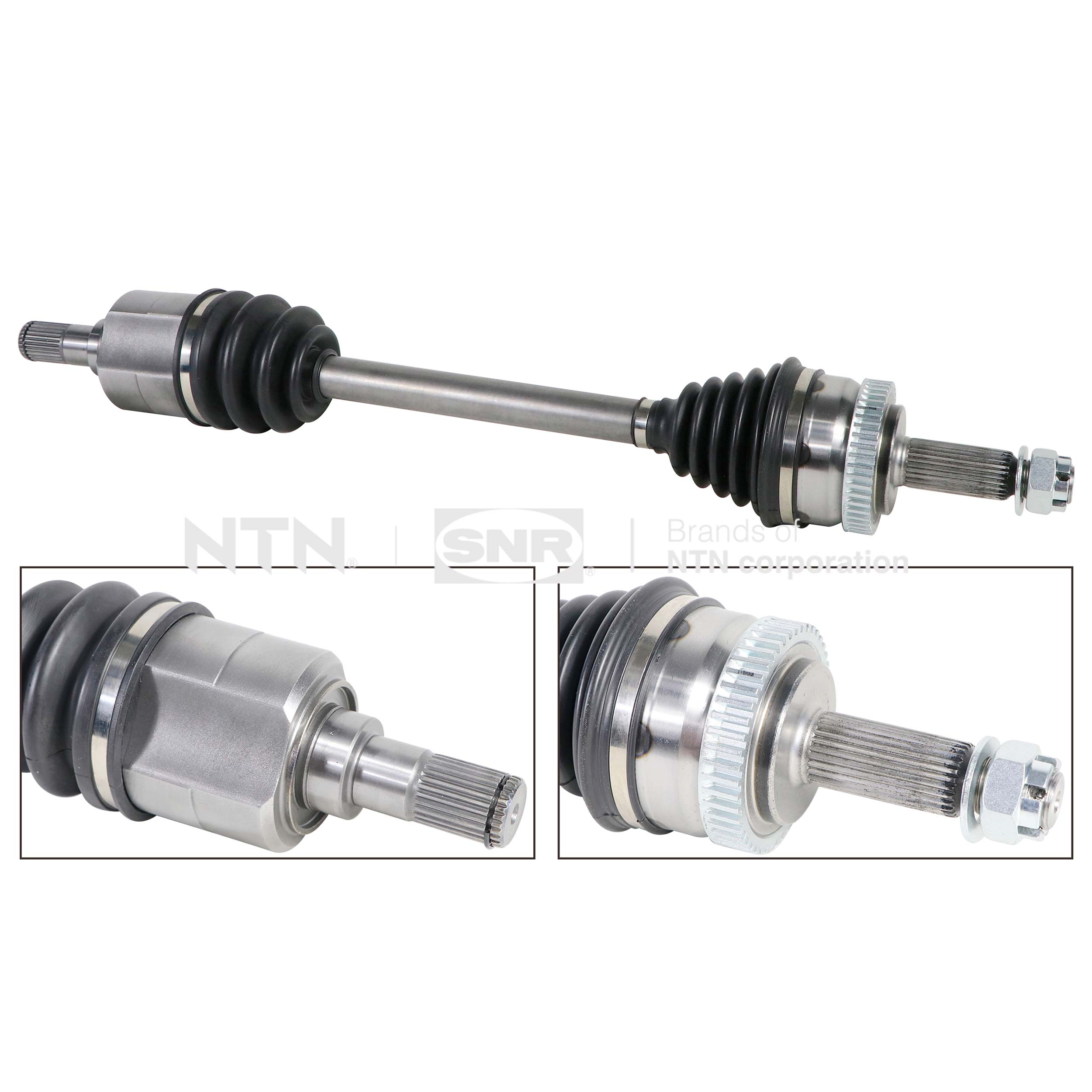 SNR DK84.006 Albero...