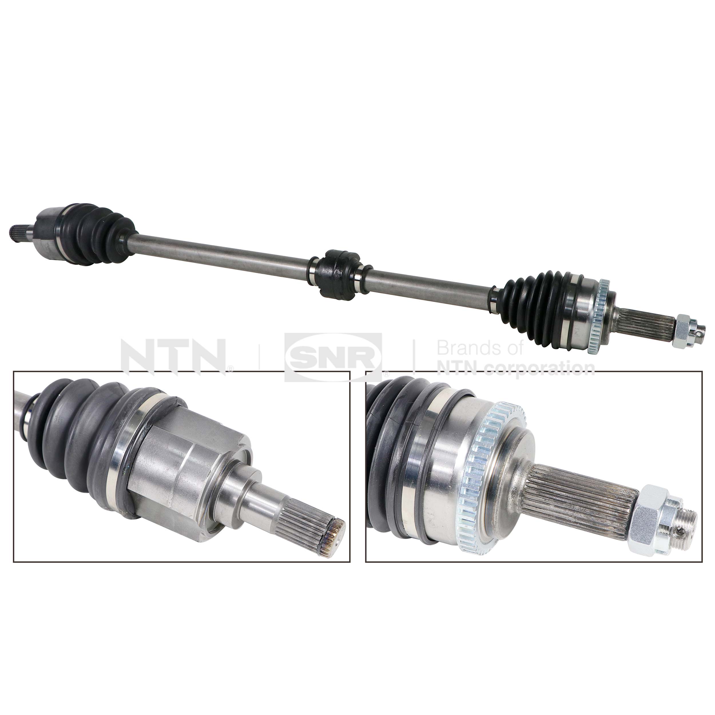 SNR DK84.007 Albero...