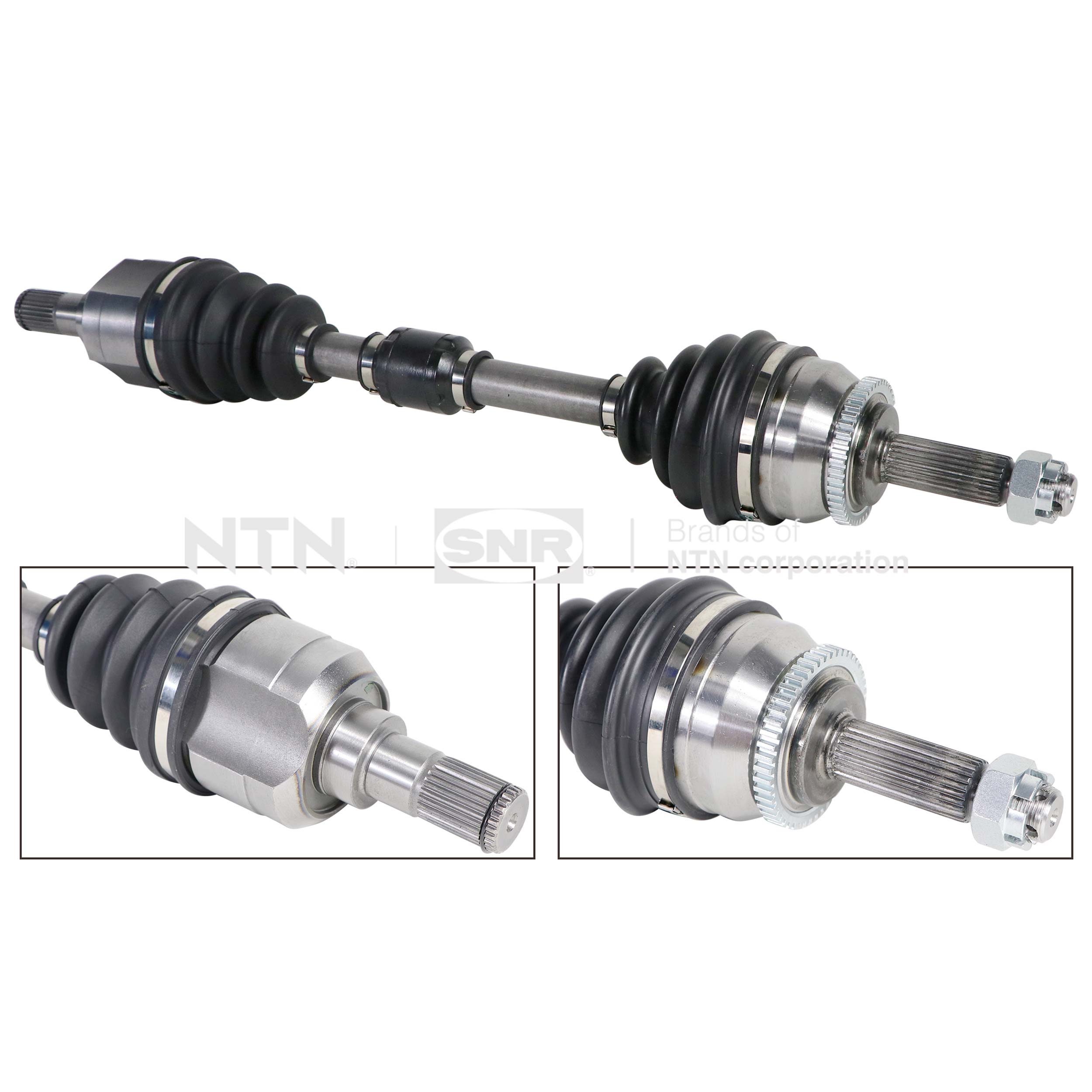 SNR DK84.008 Albero...