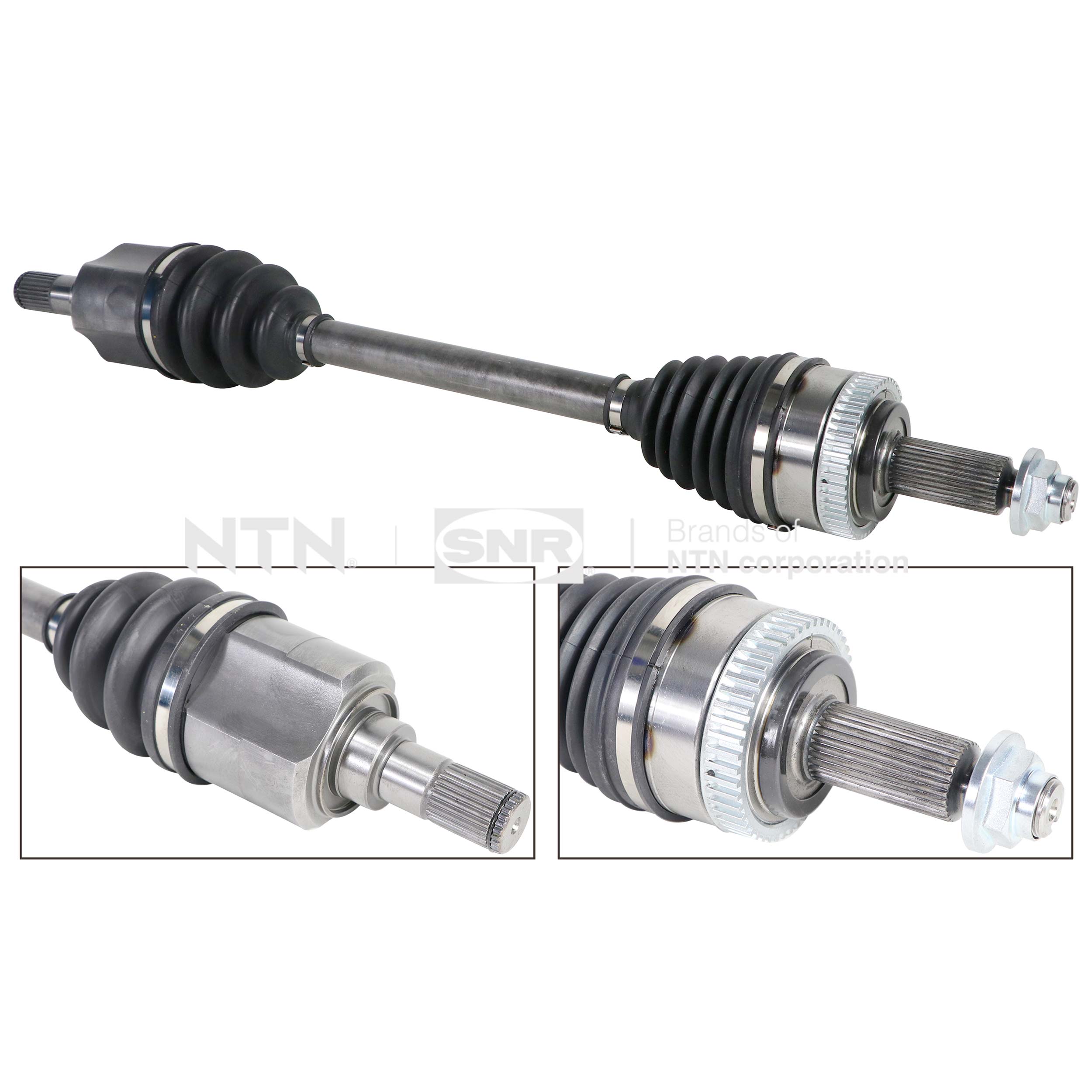 SNR DK84.009 Albero...