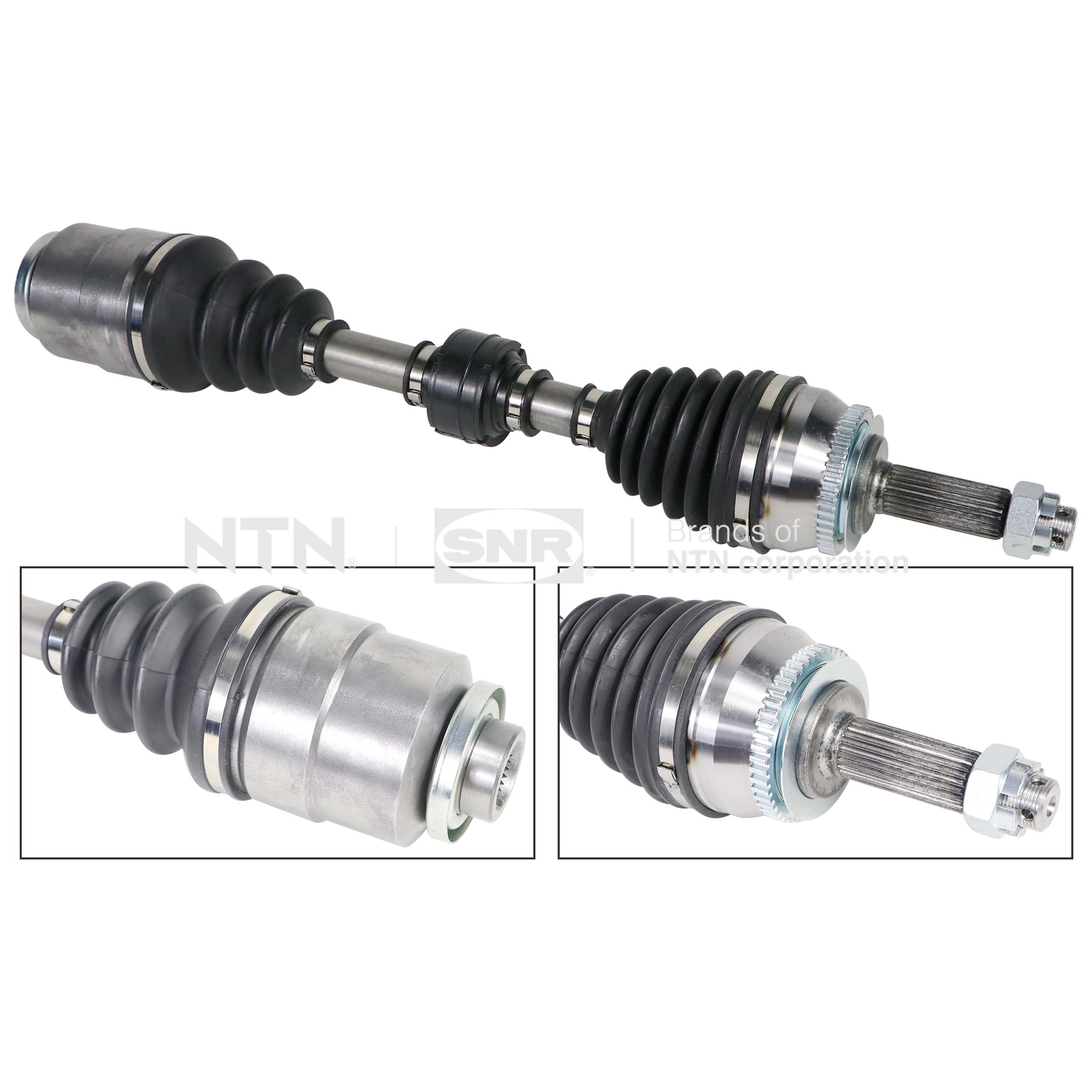 SNR DK84.011 Albero...