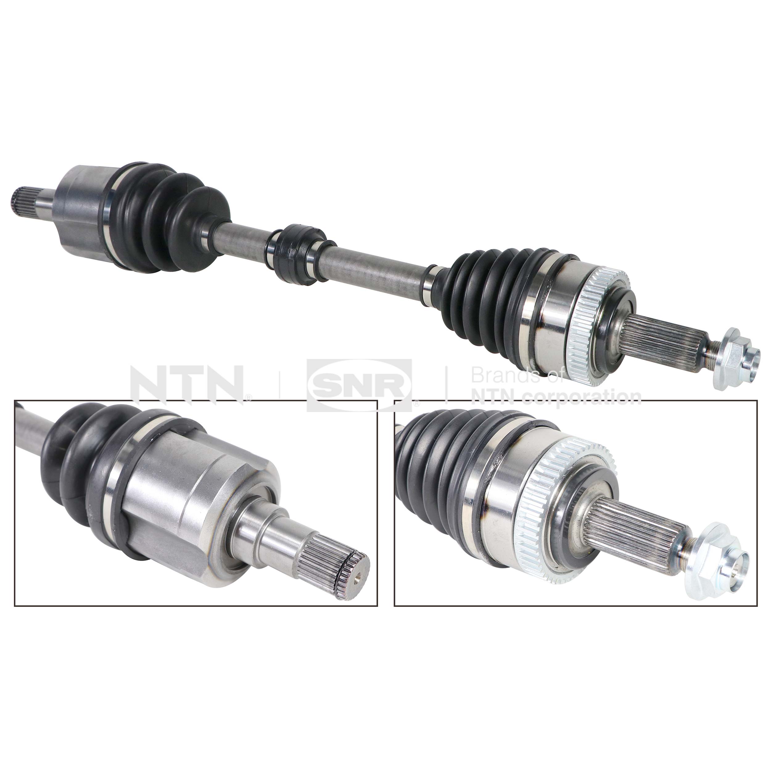 SNR DK84.012 Albero...