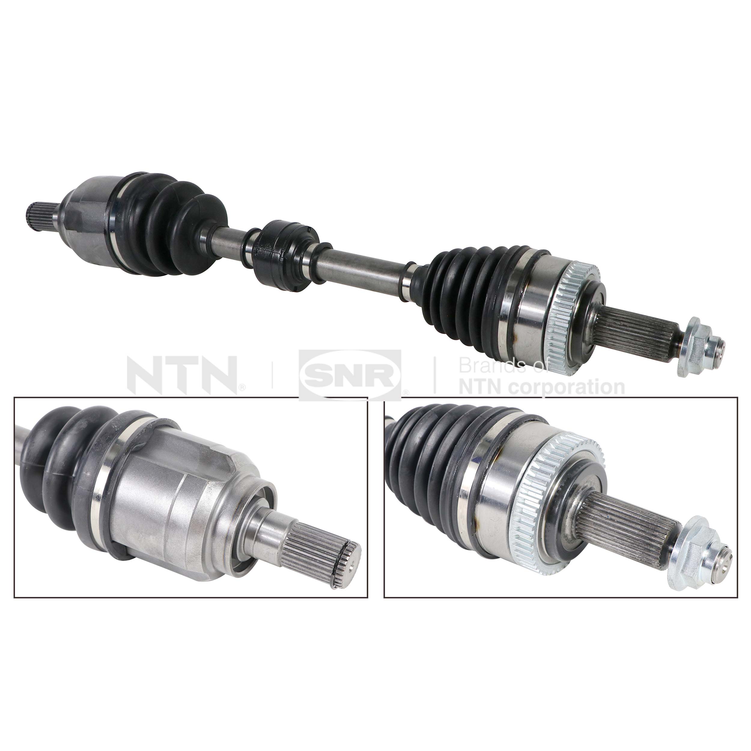 SNR DK84.013 Albero...