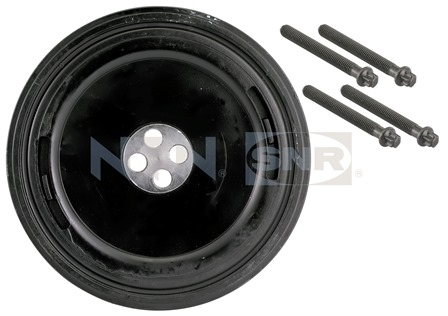 SNR DPF350.04K1 Puleggia...