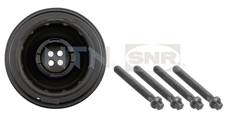 SNR DPF350.06K1 Puleggia cinghia, Albero a gomiti