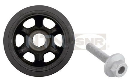 SNR DPF351.00K1 Puleggia...