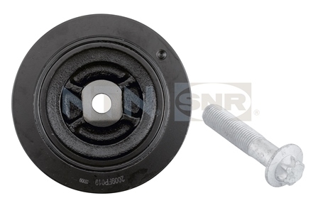 SNR DPF355.20K1 Puleggia...