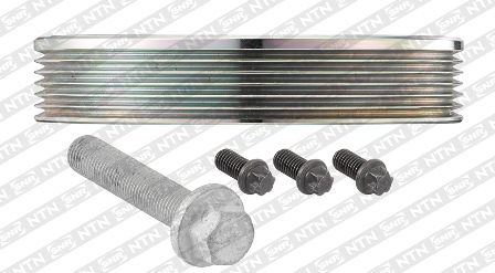 SNR DPF359.33K1 Puleggia cinghia, Albero a gomiti