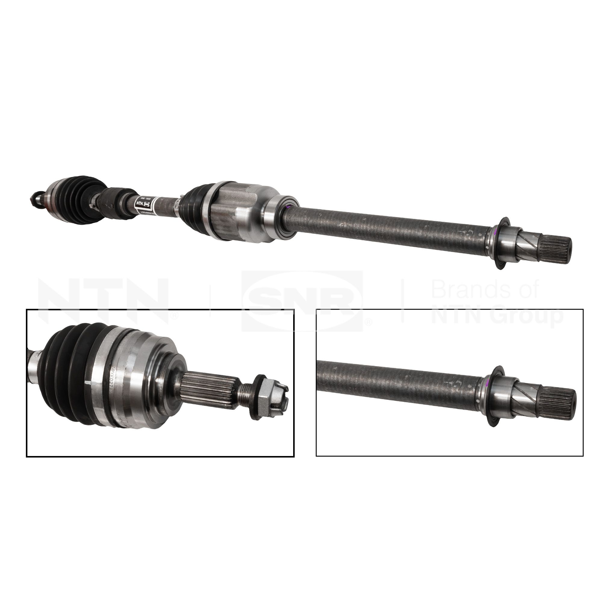 SNR DK55.265 Albero...