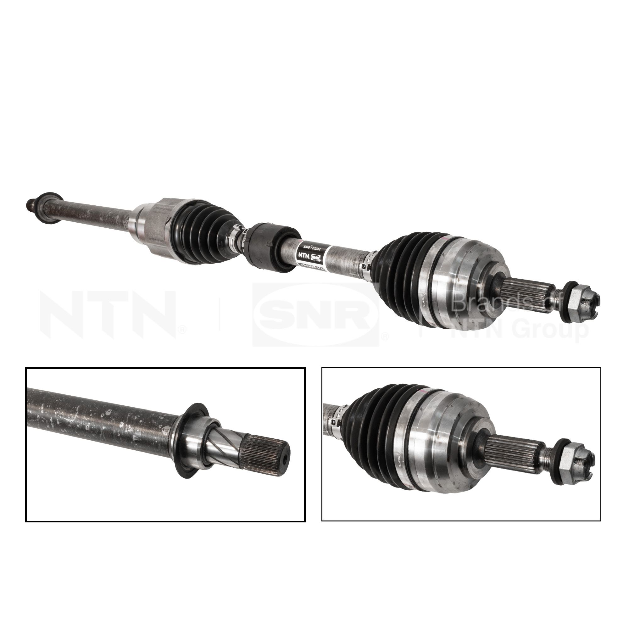 SNR DK55.269 Albero...