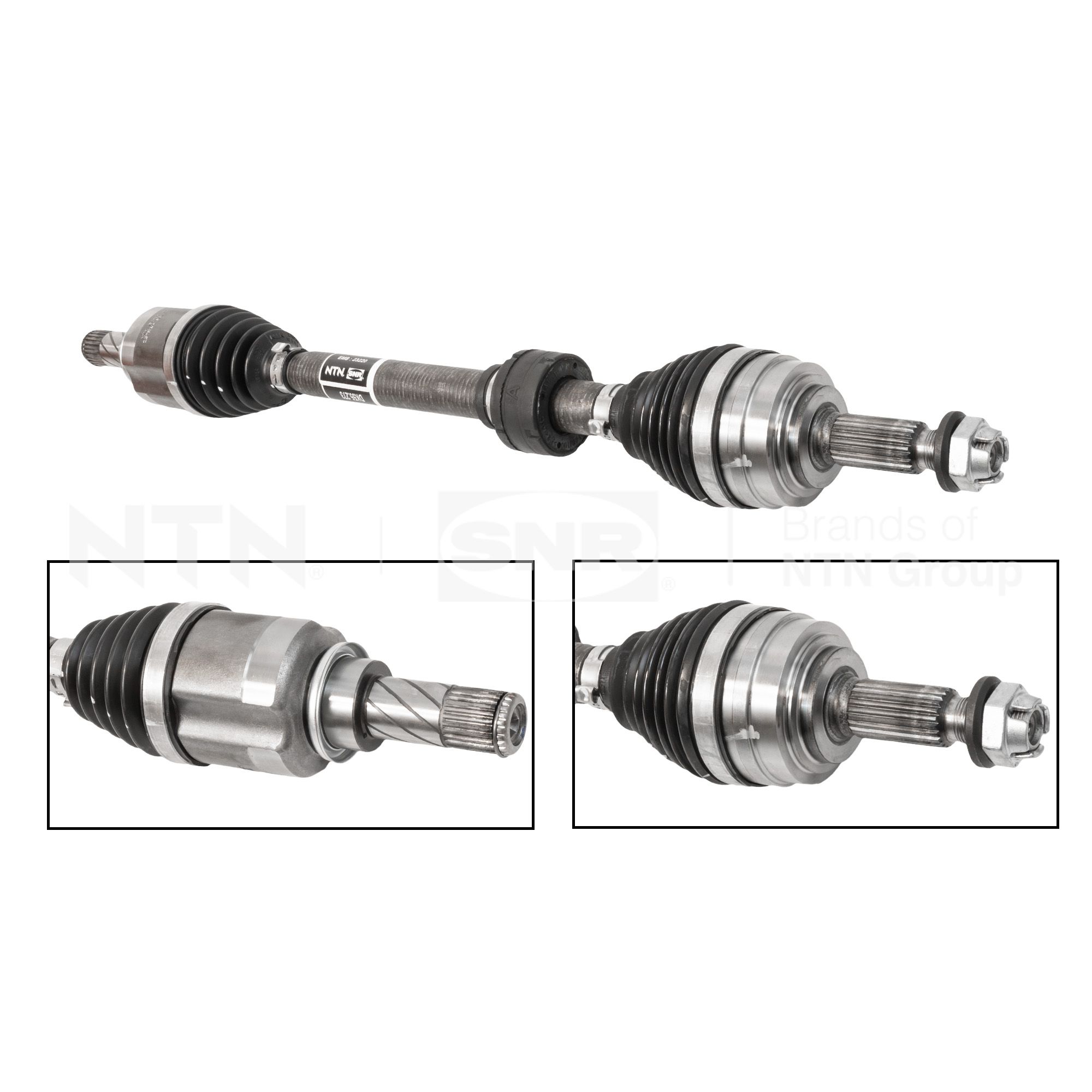 SNR DK55.273 Albero...