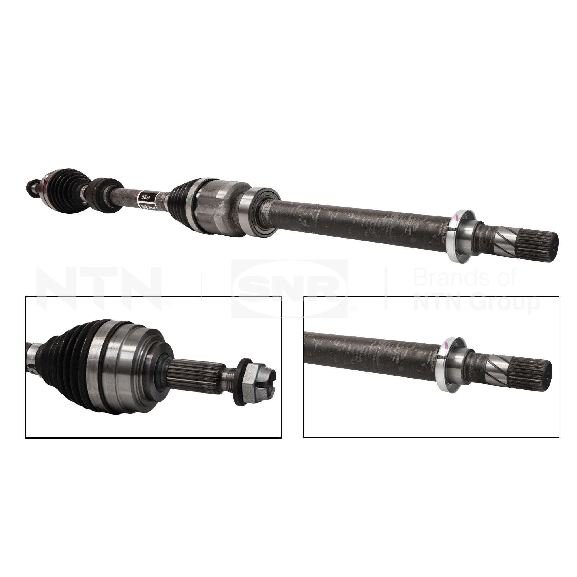 SNR DK55.274 Albero...