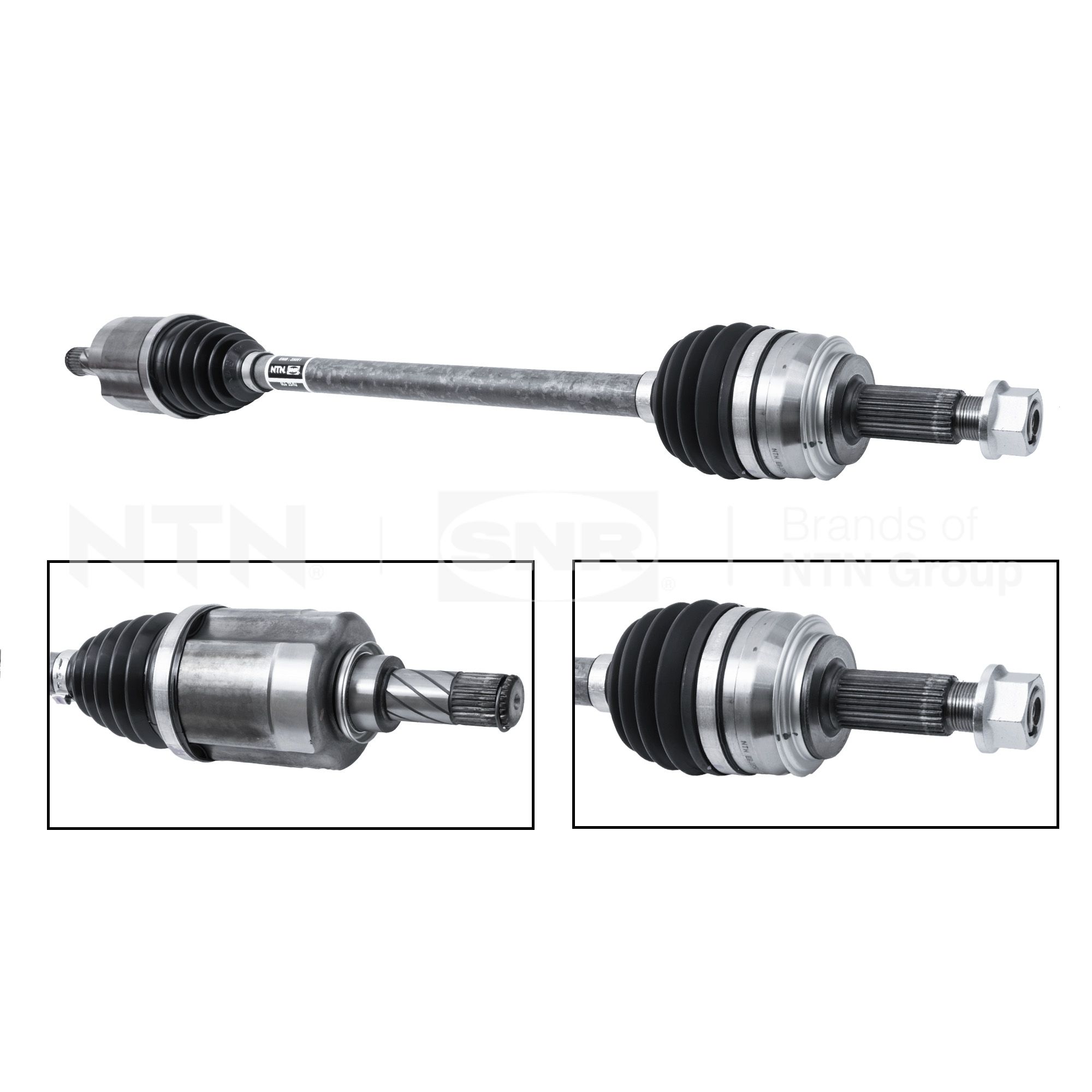 SNR DK55.278 Albero...