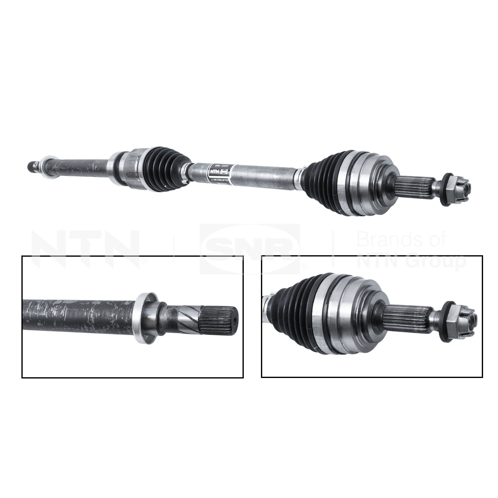 SNR DK55.282 Albero...