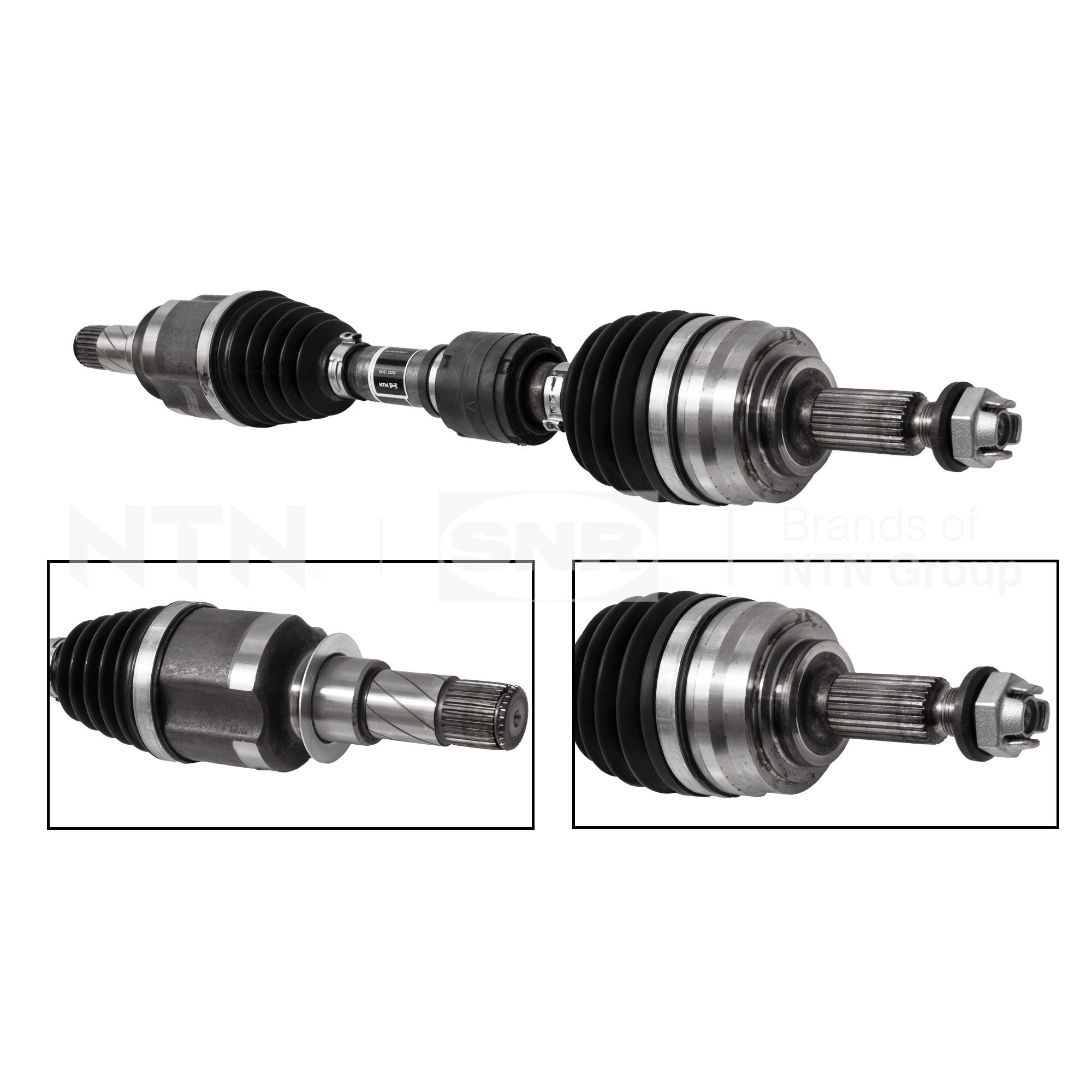 SNR DK55.283 Albero...