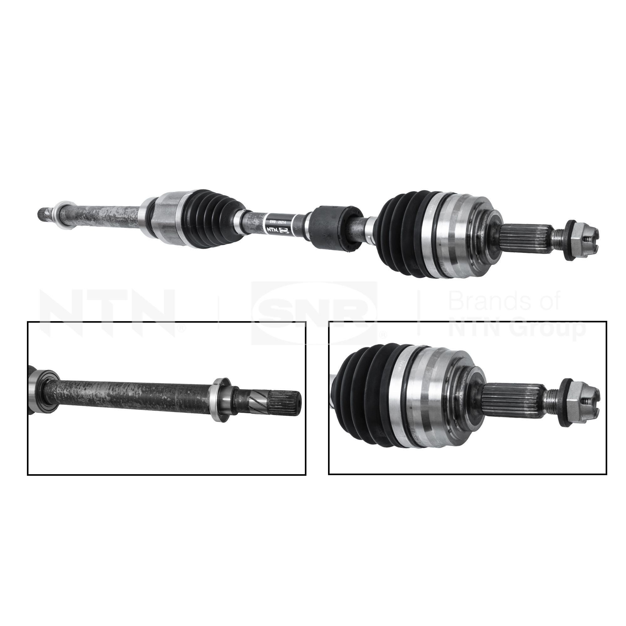 SNR DK55.286 Albero...