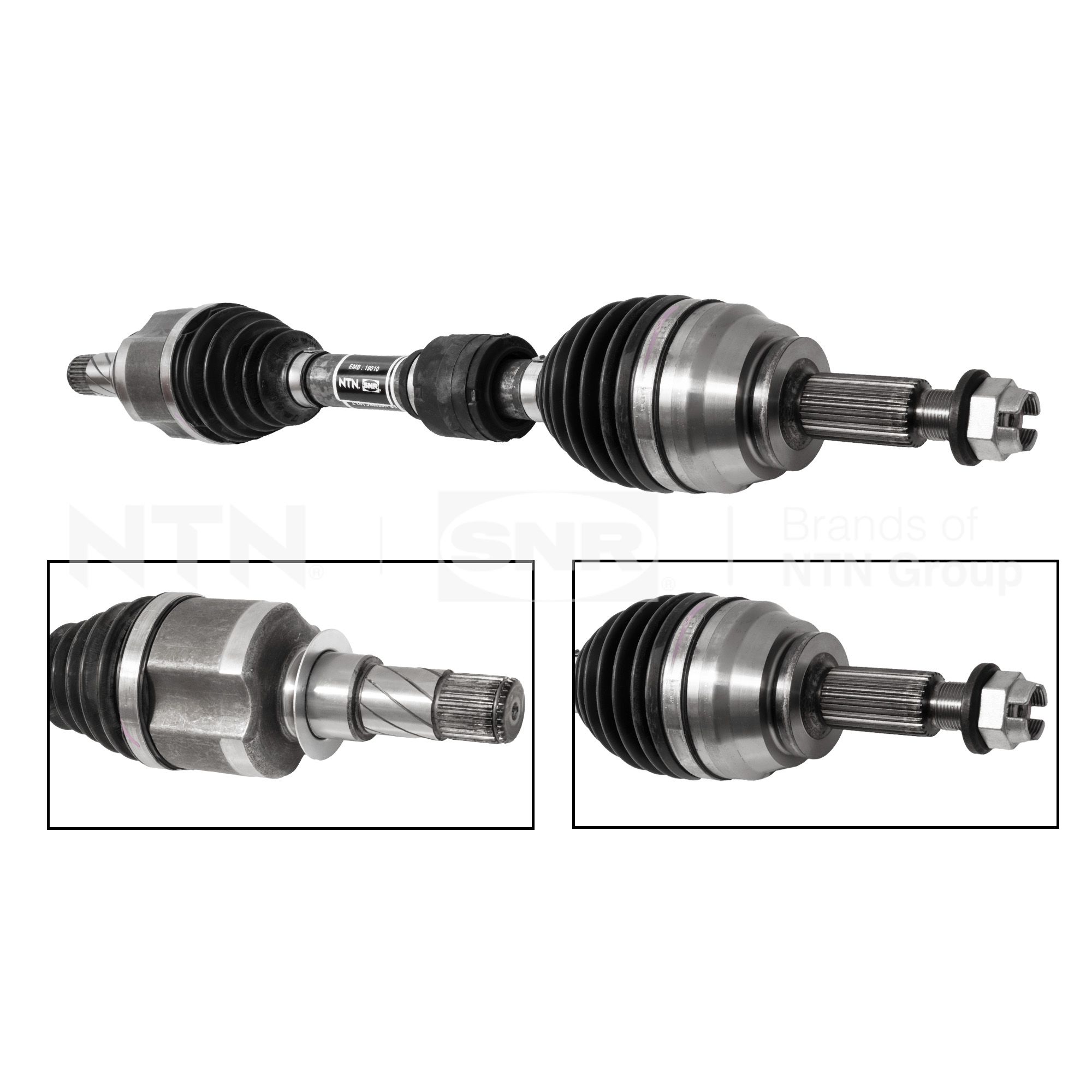 SNR DK55.287 Albero...