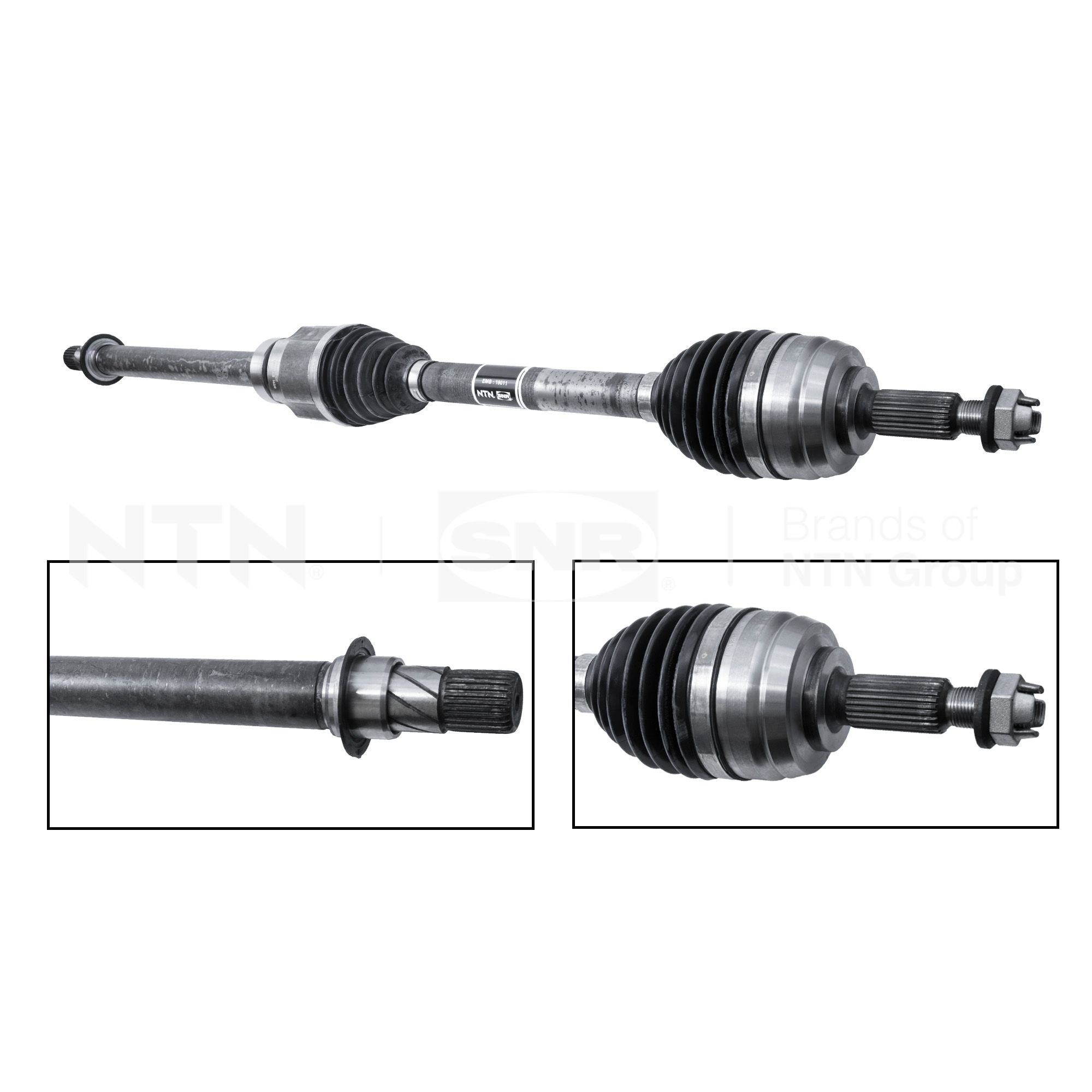 SNR DK55.288 Albero...