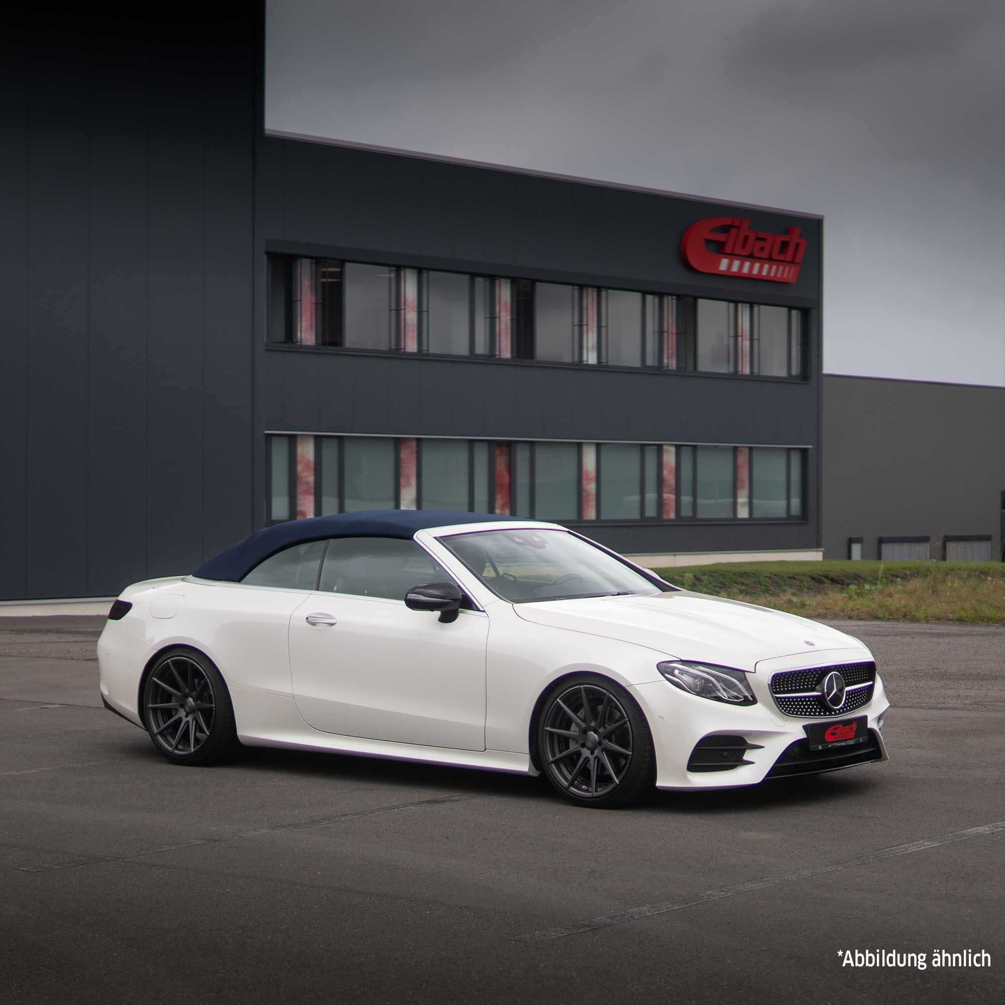 EIBACH E10-25-040-04-22 Pro-Kit Fahrwerkssatz, Federn