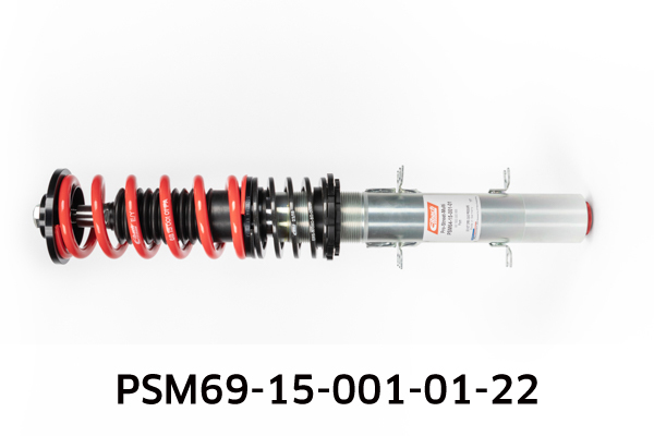 EIBACH PSM69-15-001-01-22 Pro-Street-Multi Fahrwerkssatz, Federn/Dämpfer