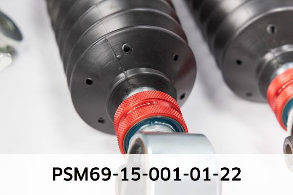 EIBACH PSM69-15-001-01-22 Pro-Street-Multi Fahrwerkssatz, Federn/Dämpfer